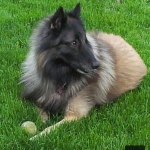 Meet your Posher, Ken